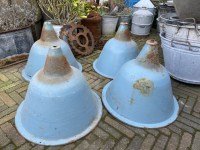 IMG_3955