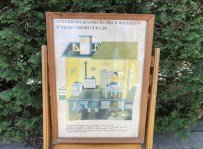 IMG_8977