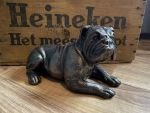 bulldog